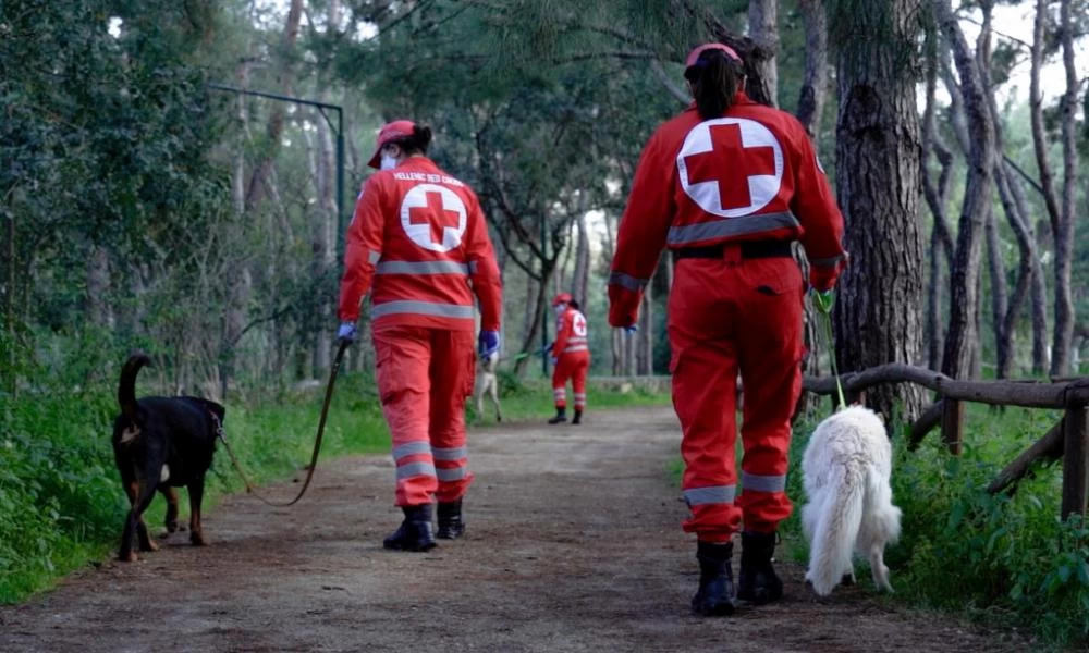 Παγκόσμια Ημέρα Ζώων – Ο Ελληνικός Ερυθρός Σταυρός υποστηρίζει τα αδέσποτα της Αθήνας